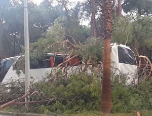 Antalya’nın Manavgat ilçesinde Otobüsün üzerine ağaç devrildi: 7 yaralı