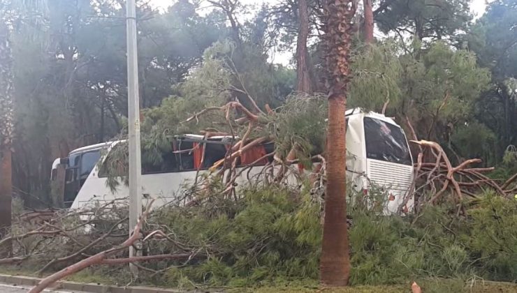 Antalya’nın Manavgat ilçesinde Otobüsün üzerine ağaç devrildi: 7 yaralı