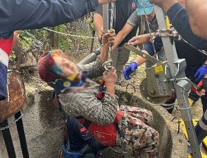 Aydın Büyükşehir Belediyesi İtfaiyesi ekiplerinin Mücadelesi