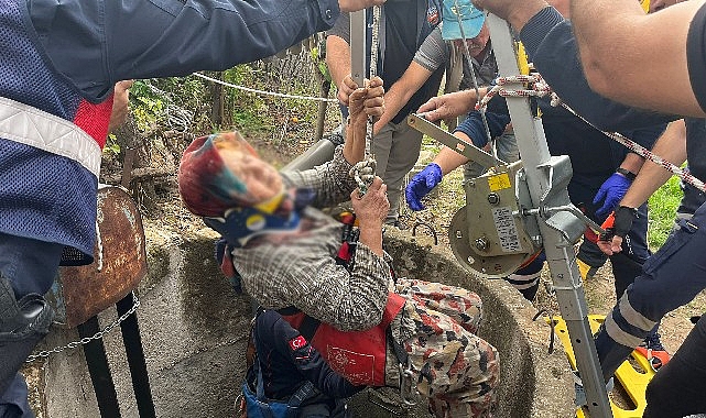 Aydın Büyükşehir Belediyesi İtfaiyesi ekiplerinin Mücadelesi